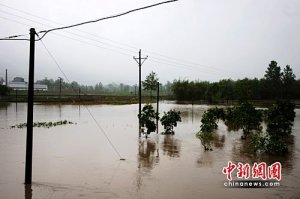 暴風(fēng)雨突襲南方多省 至少40人遇難12人失蹤