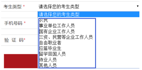 國(guó)家公務(wù)員報(bào)名表_國(guó)家公務(wù)員報(bào)名表怎么填